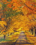 pic for four seasons